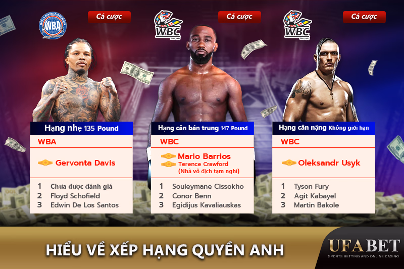 Xếp hạng võ sĩ theo từng hạng cân