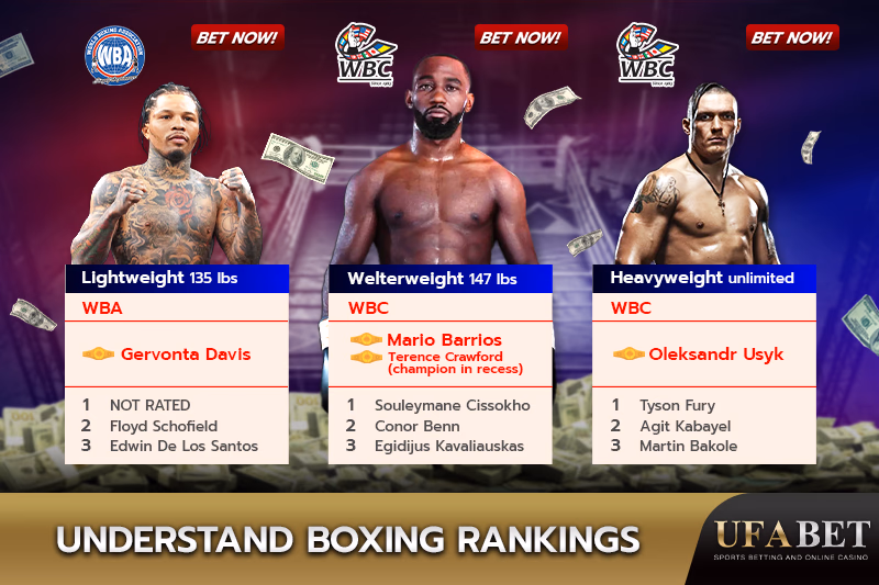 Boxer Rankings in Each Weight Class