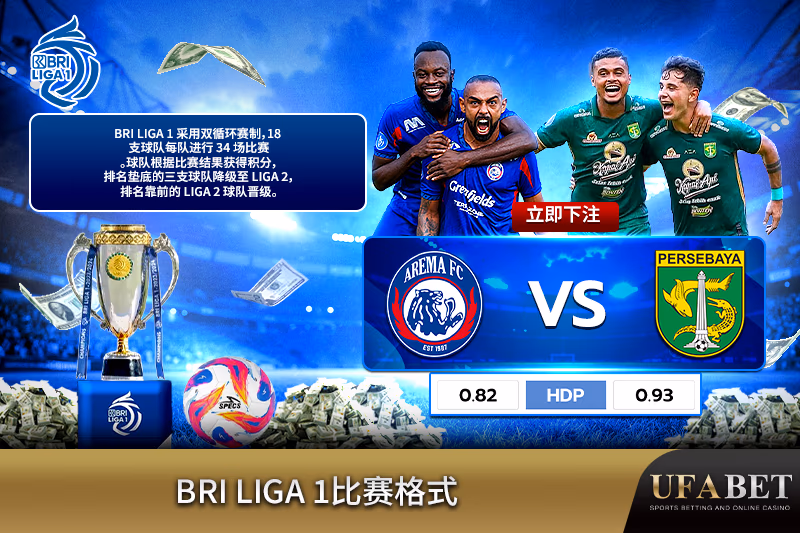 BRI Liga 1比赛