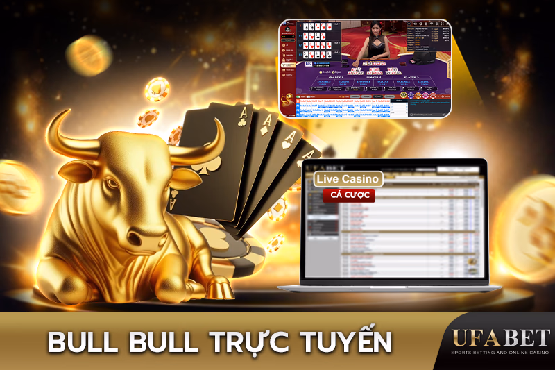 Bull Bull Online