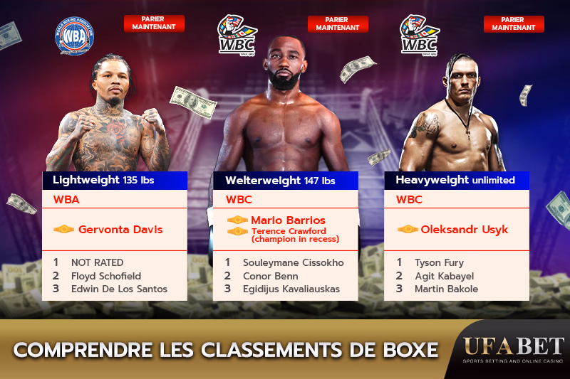 Classements des boxeurs par catégorie