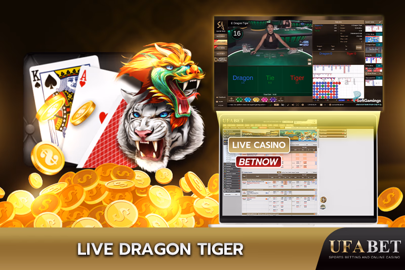 Live Dragon Tiger