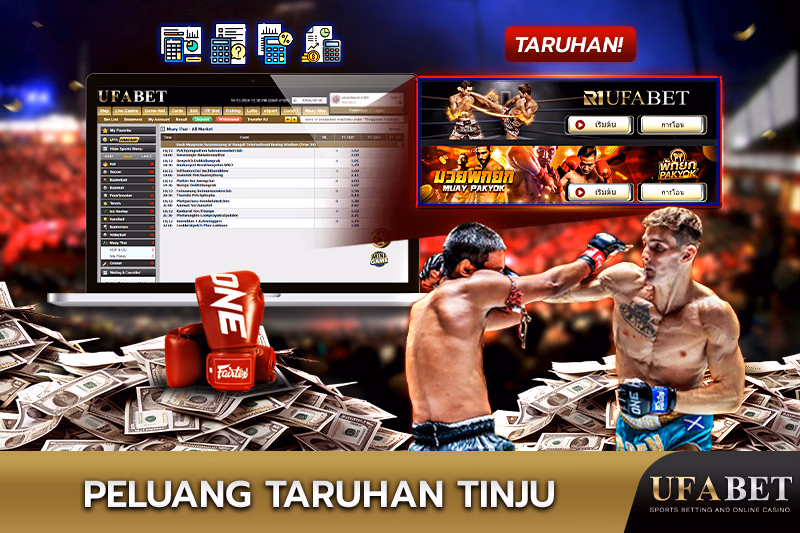 Hitung Peluang Taruhan Tinju
