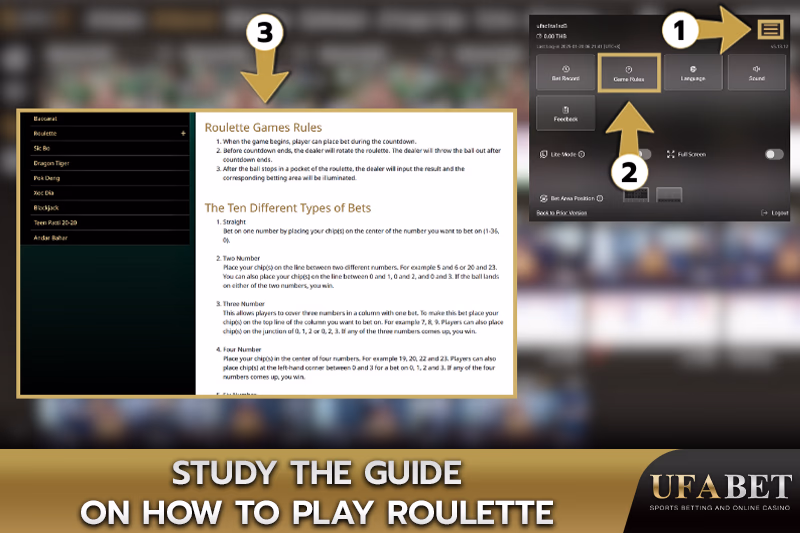 Learn the Rules and Betting Options for Roulette