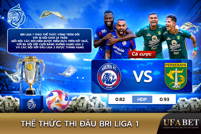 Giải đấu BRI Liga 1