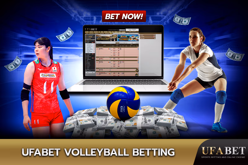 Volleyball Betting and Odds UFABET
