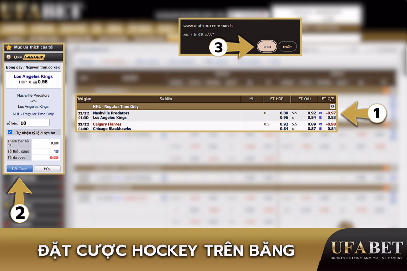 Cá Cược Khúc Côn Cầu Trên Băng