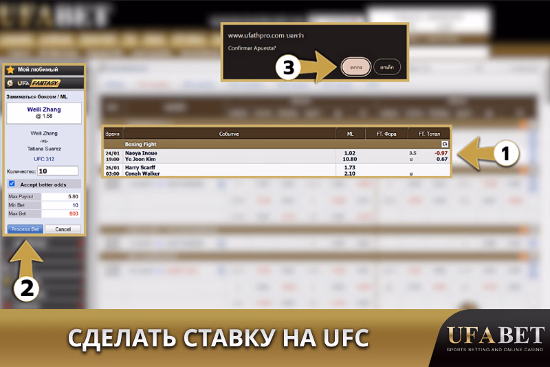 Руководство по ставкам на UFC