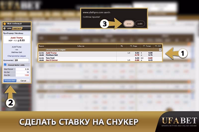 Ставьте на матчи по снукеру