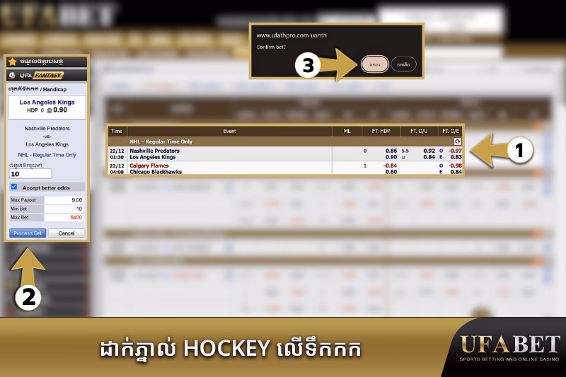 ការភ្នាល់លើកីឡា Hokey ទឹកកក