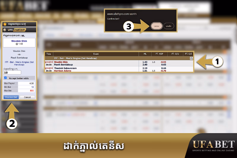 ជំហានដាក់ការភ្នាល់តេនីសលើ UFABET
