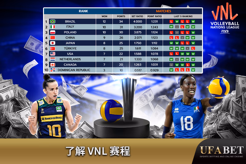 了解 VNL 排名表