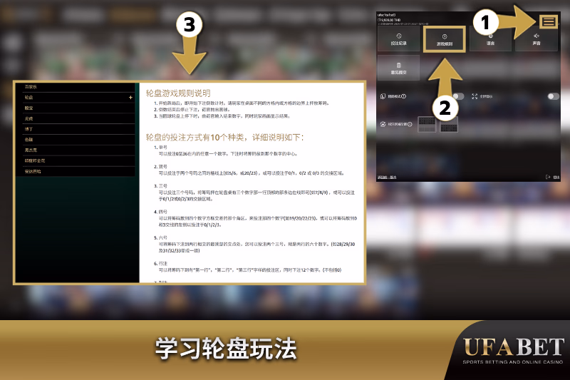 学习轮盘的规则和下注选项