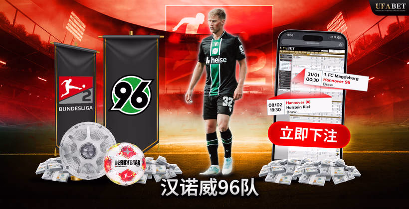 汉诺威96 德乙联赛