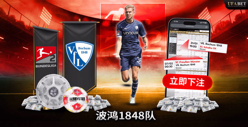 波鸿1848 德乙联赛