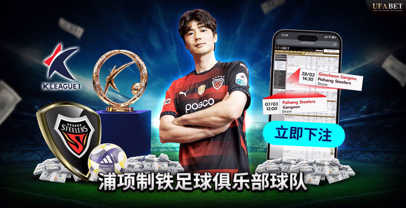 浦项制铁队 K联赛